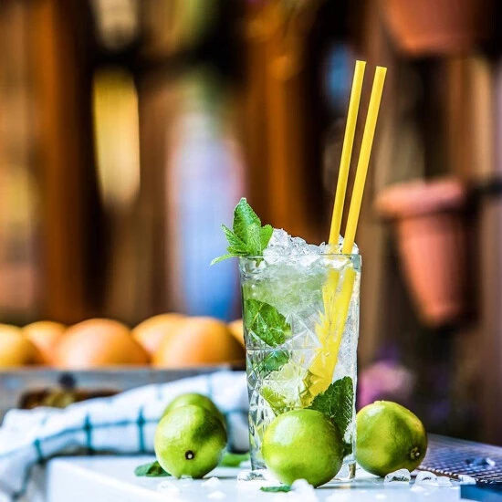 Am billigsten ❤️ Gastroback 41138 Home Culture Zitruspresse 🌟 14 Am billigsten ❤️ Gastroback 41138 Home Culture Zitruspresse 🌟 – Bild 12